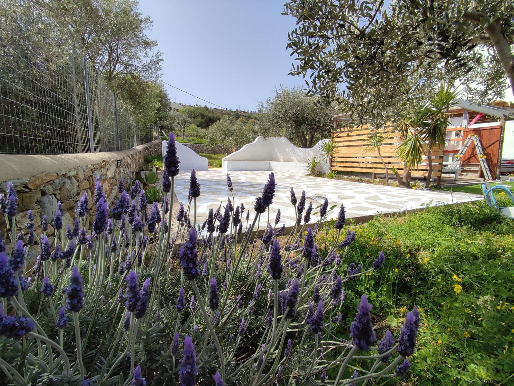 Il Canto Delle Cicale Agia Marina  Bagian luar foto
